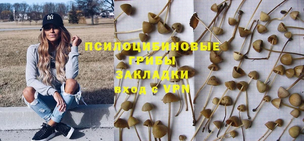 тгк Баксан