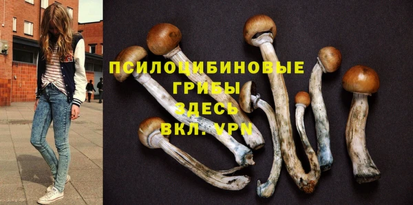 тгк Баксан